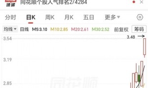 五天三板！马斯克带火的光伏牛股，要爆了？亏损收窄，公司拟收购电站
