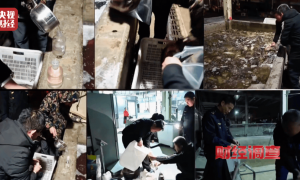 活鱼被人为麻醉流向餐桌，可能“喝过”工业酒精！《财经调查》曝光